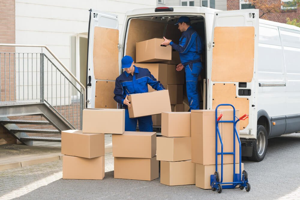 What Is a Removalist? - Rockhill City Guide